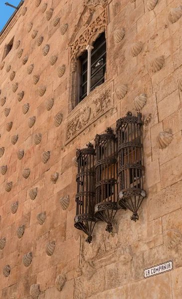 Zdobená Fasáda Gotického Paláce Zdobená Mušlemi Městě Salamanca Španělsko — Stock fotografie