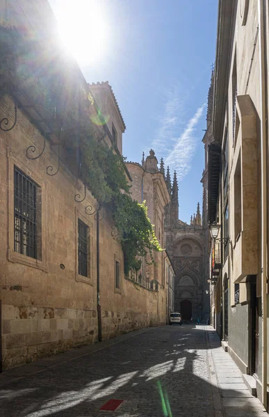 İspanya 'nın Salamanca kentinin manzarası