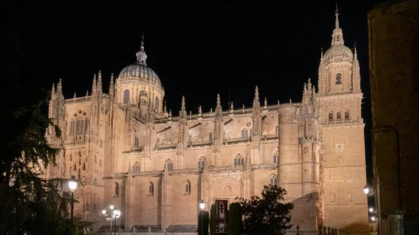 サラマンカ大聖堂 夜にライトアップ サラマンカ スペイン — ストック写真