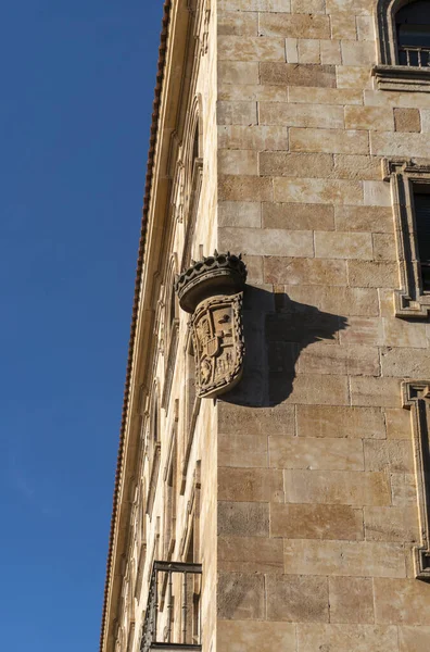 Detalle Arquitectónico Ciudad Slamanca España — Foto de Stock