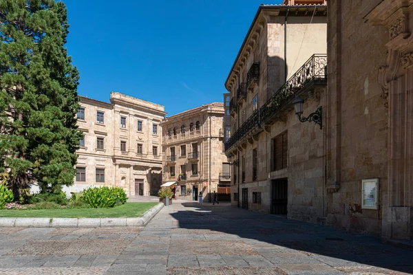 Edificios Históricos Campus Universidad Salamanca Ciudad Salamanca España — Foto de Stock