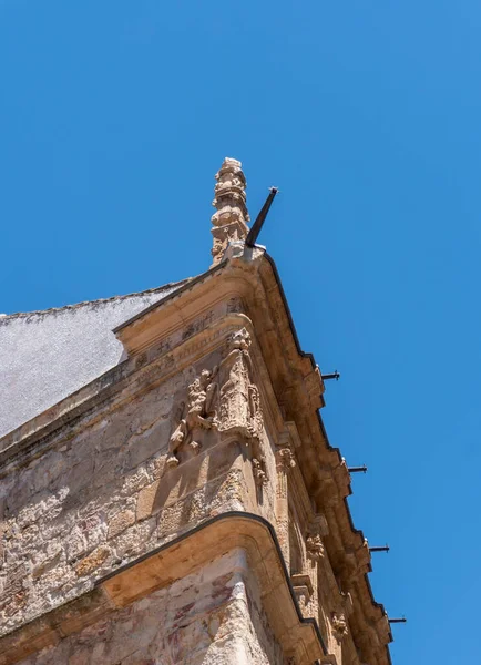 Angolo Edificio Decorato Nella Città Salamanca Spagna — Foto Stock