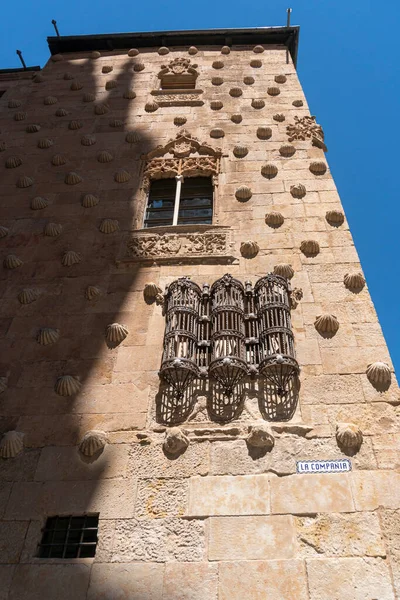 Zdobená Fasáda Gotického Paláce Zdobená Mušlemi Městě Salamanca Španělsko — Stock fotografie