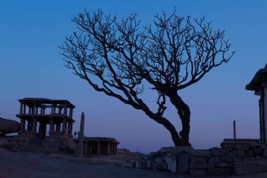gece gökyüzünde çıplak ağaç ile eski kalıntıları, Hampi, Hindistan