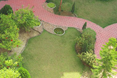 yolu, yeşil çimenler ve çeşitli çalılar ile park sahnesi