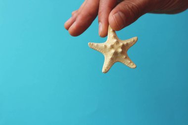 mavi arka plan üzerinde kurutulmuş denizyıldızı tutan el