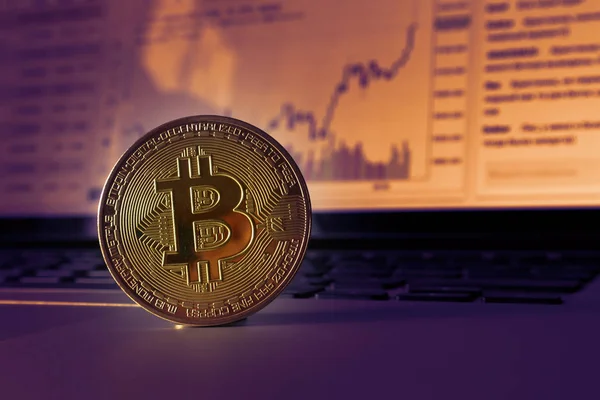 Bitcoin Érme Egy Sötét Háttér Képernyőn Menetrend Exchange Trading Stock Kép