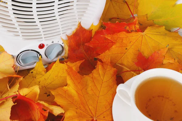 çay ve ısıtıcı düşmüş sarı yaprakları ile çevrili fincan