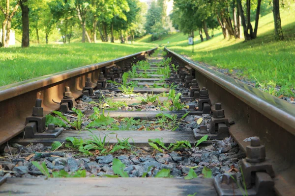 View Old Rail Tracks Surrouded Lush Greenery — Stock Photo, Image