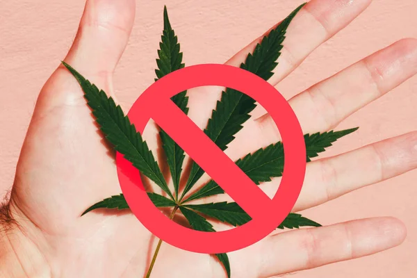 kırmızı dur işareti ile marihuana yaprağı tutan el