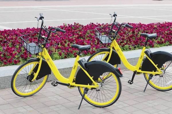Sepeda Kuning Untuk Disewa Berdiri Dekat Tempat Tidur Bunga Mekar — Stok Foto
