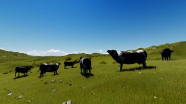 Bir İnekler Otlatma Arkaplanı 