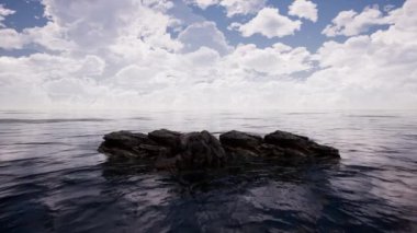 Falcon Flying Over Cliff In Ocean
