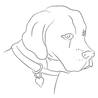 Siyah ve beyaz eskiz köpek yaka, vektör çizim ile
