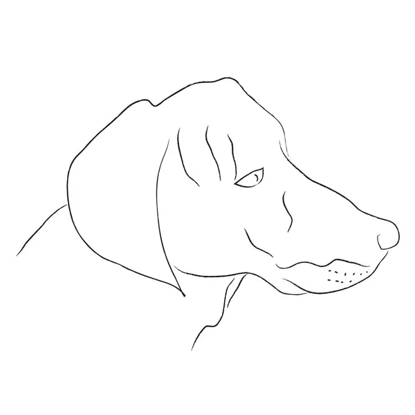 Desenho Preto Branco Cão Ilustração Vetorial — Vetor de Stock