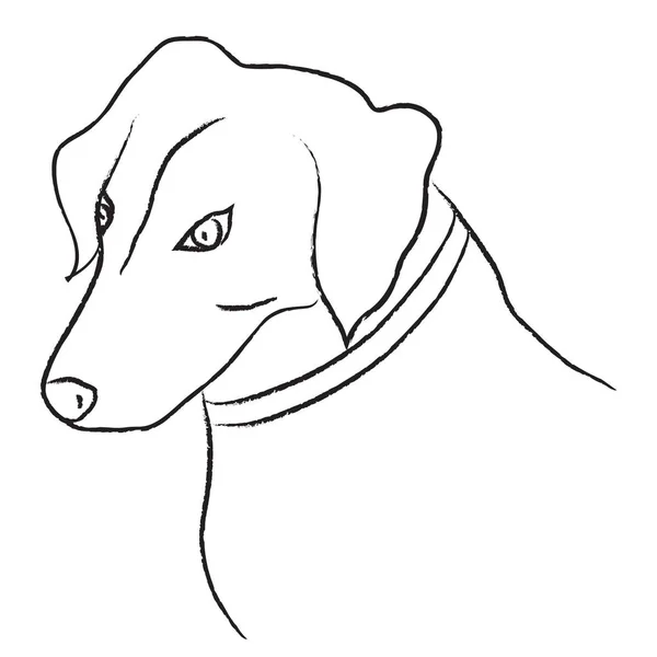 Bosquejo Blanco Negro Perro Ilustración Vectorial — Vector de stock