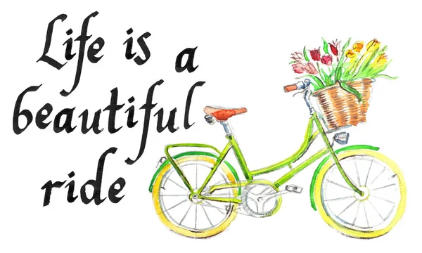 Life Beautiful Ride Light Green Bicycle Basket Flower Watercolor Vector — стоковый вектор