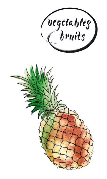 Ananas Fresco Illustrazione Acquerello Disegnata Mano Illustrazione Vettoriale — Vettoriale Stock