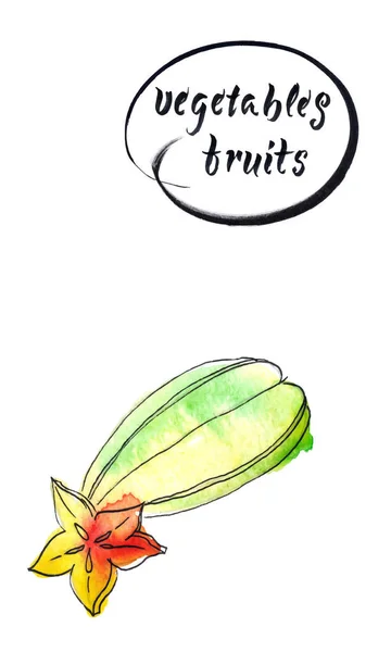 Snijd Rijpe Stervrucht Carambola Star Apple Stervrucht Aquarel Vectorillustratie — Stockvector