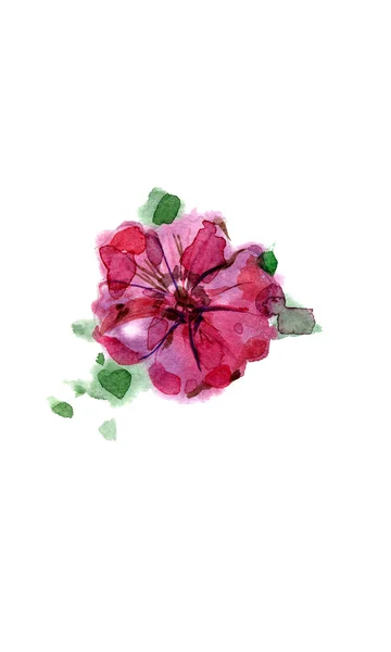 Aquarela Pintado Mão Flor Petúnia — Fotografia de Stock