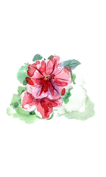 Aquarell Handbemalte Petunienblume — Stockfoto