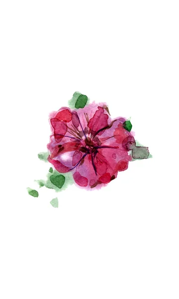 Aquarell handbemalte Petunienblume — Stockvektor