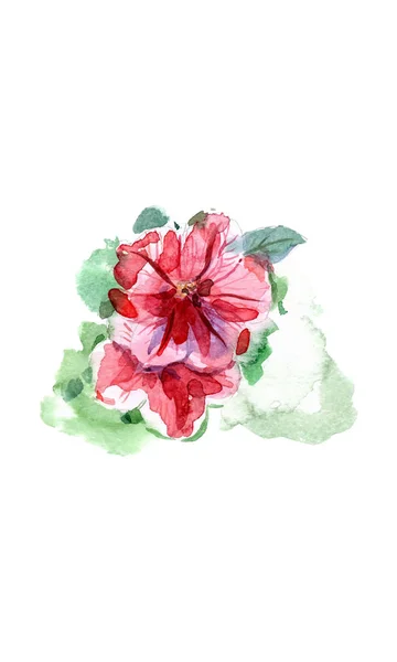 Watercolor hand painted petunia flower — Stock Vector