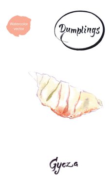 Asya hamur köftesi Gyoza suluboya vektör çizimi
