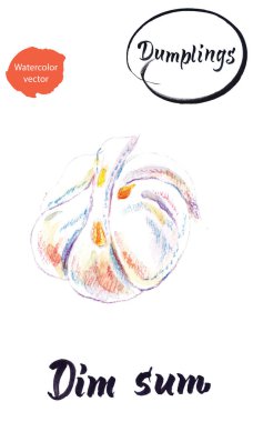 Çin hamur köftesi Dim Sum, suluboya vektör çizimi