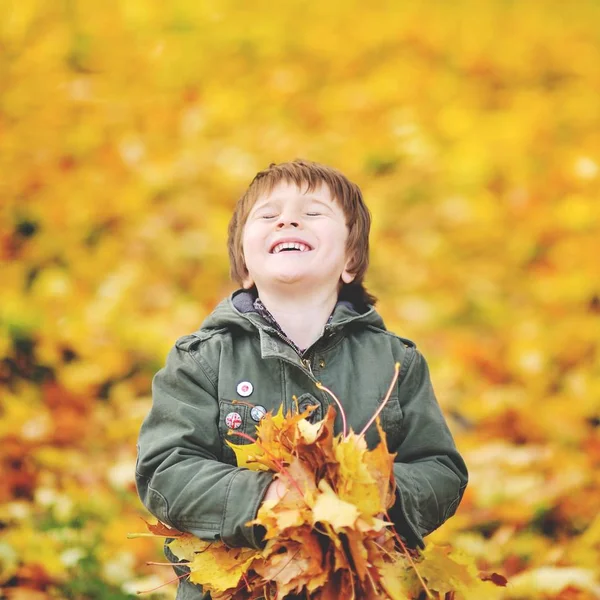 Happy cute boy with autumn leaves in the park - copyspace — Stock Photo, Image