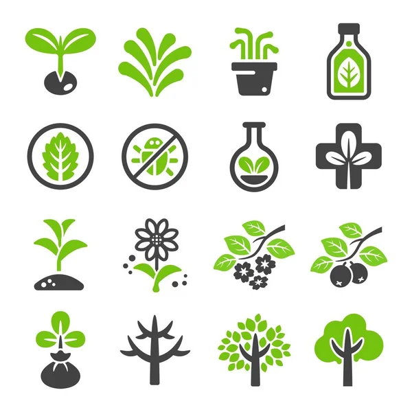 Conjunto Ícone Planta Vetor Ilustração —  Vetores de Stock