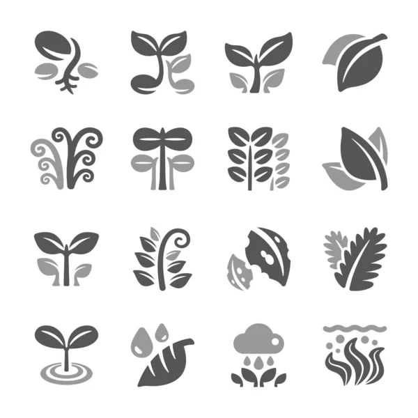 Set Icônes Plantes Feuilles Vecteur Illustration — Image vectorielle