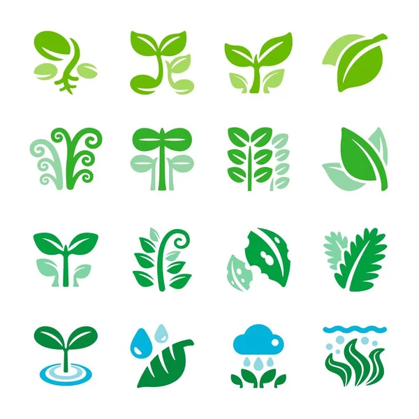 Set Icônes Plantes Feuilles Vecteur Illustration — Image vectorielle