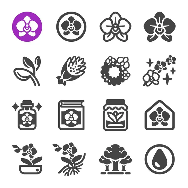 Orchidee Bloem Icon Set Vector Illustratie — Stockvector