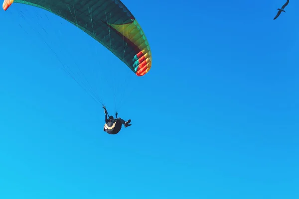 Parapente volant sur parachute coloré dans un ciel bleu clair par une journée d'été ensoleillée. Mode de vie actif, sport extrême. Concept d'adrénaline . — Photo