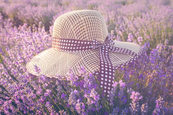 Hasır şapka Lavanta üzerinde. Romantik yaz konsepti. Aromaterapi. Günbatımı bir yaz mor lavanta alanın arka planda üzerinde. — Stok fotoğraf