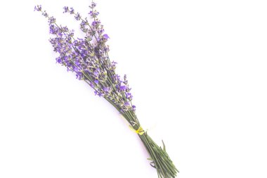 Taze lavanta buketi beyaz arka plan üzerinde izole. Kopyalama alanı ile romantik kavram.