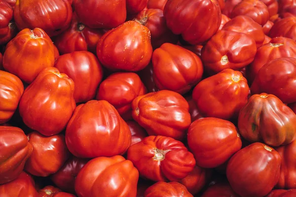 Deliciosos tomates orgânicos vermelhos à venda no mercado local de agricultores, foco seletivo. Tomates bio suculentos frescos no mercado. Legumes orgânicos para uma alimentação saudável. Comida vegetariana . — Fotografia de Stock