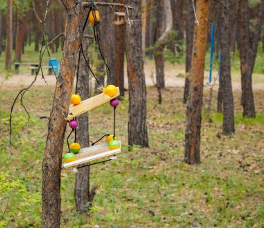 derme çatma evler Park HD kuşlar için