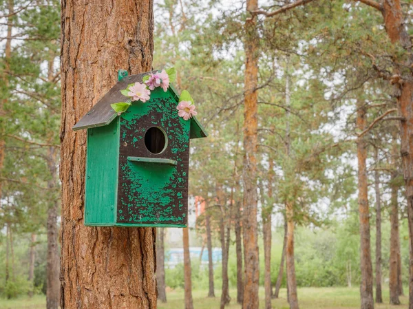 Geïmproviseerde Huizen Voor Vogels Het Park — Stockfoto