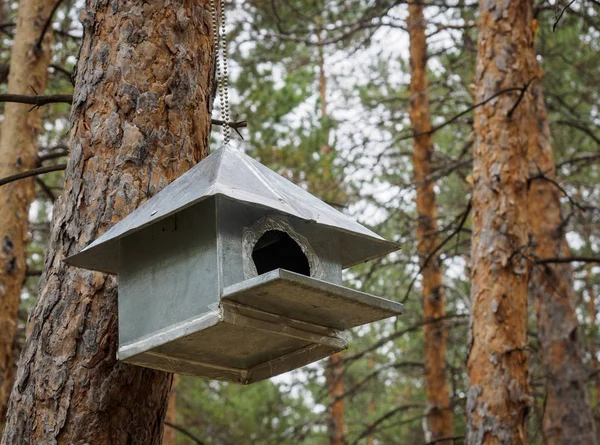 Derme Çatma Evler Park Kuşlar Için — Stok fotoğraf