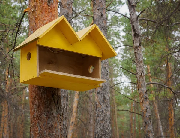 公園の の鳥のための仮設住宅 — ストック写真