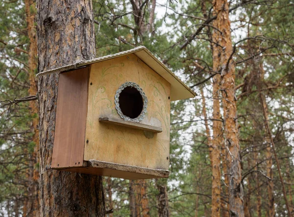 Madarak Park Rögtönzött Házak — Stock Fotó