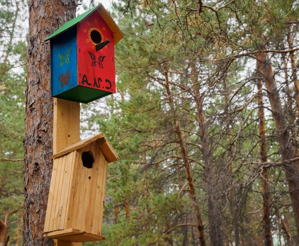 Madarak Park Rögtönzött Házak — Stock Fotó