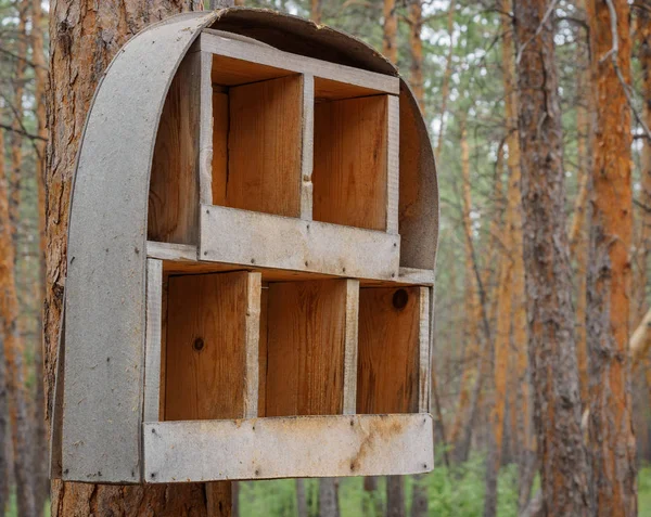 Casas Improvisadas Para Pássaros Parque — Fotografia de Stock