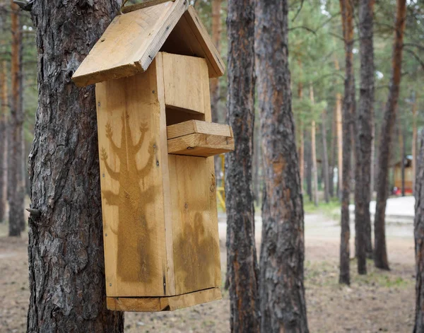 Geïmproviseerde Huizen Voor Vogels Het Park — Stockfoto