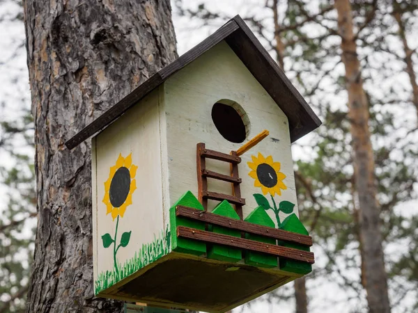 Case Improvvisate Gli Uccelli Nel Parco — Foto Stock