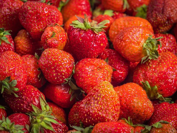 Achtergrond van vers geoogste aardbeien, direct boven — Stockfoto