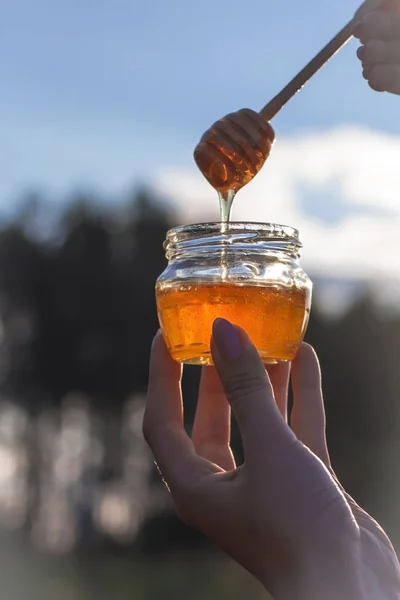 Golden honey flows from a special spoon of honey into a jar