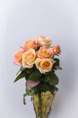 kopya alanı hafif zemin üzerine sarı vazoda krem gül